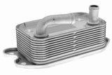 Oil Cooler, engine oil - V95-60-0006