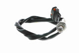 Oxygen Sensor - V40-76-0006