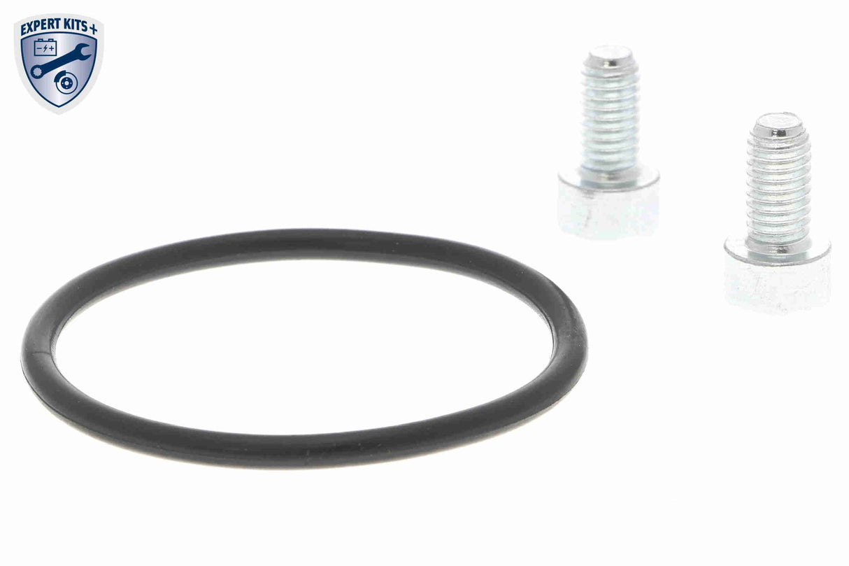 Control Element, parking brake caliper - V10-77-1062