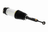 Air Suspension Strut - V58-50-0006