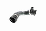 Radiator Hose - V20-2384