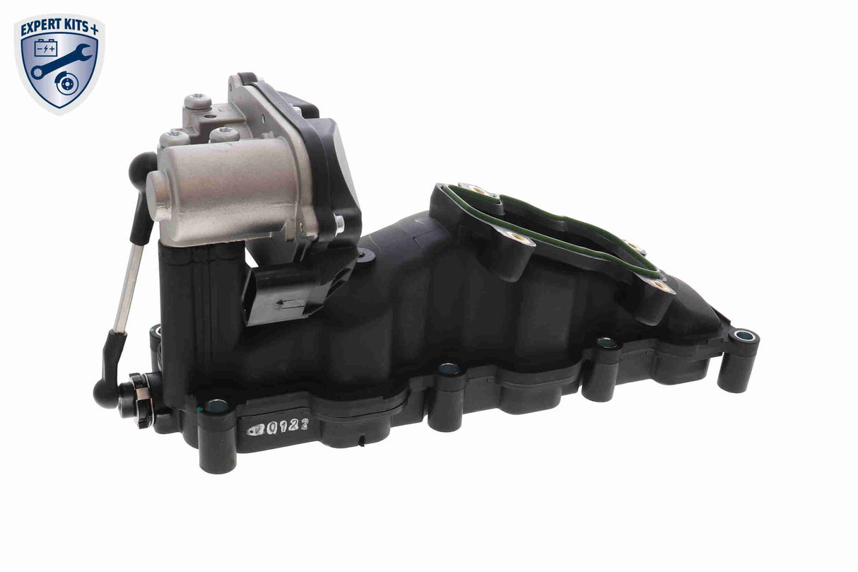 Intake Manifold Module - V10-6482