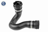 Radiator Hose - V10-5531