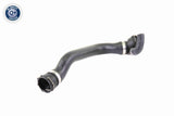 Radiator Hose - V20-1329