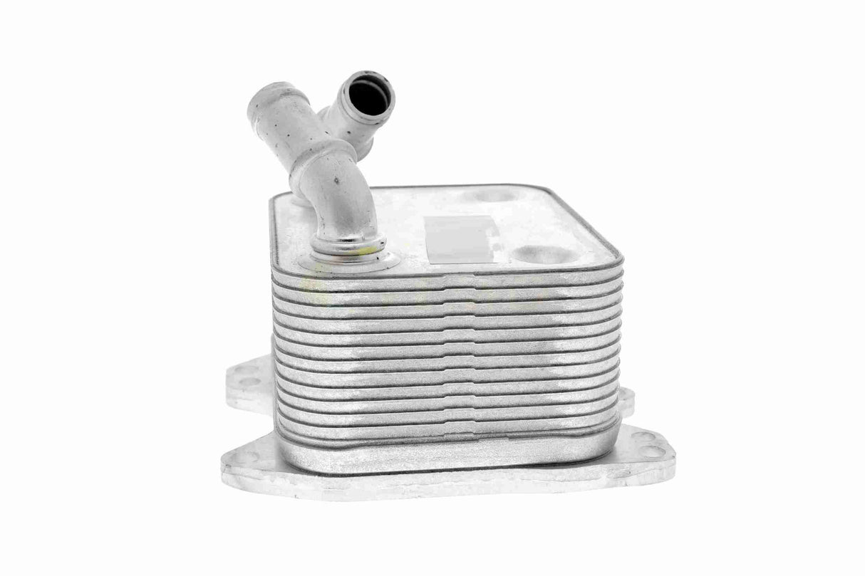 Oil Cooler, engine oil - V15-60-0007