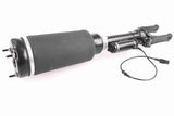 Air Suspension Strut - V30-50-0038
