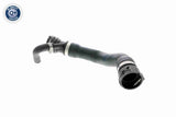 Radiator Hose - V20-1271