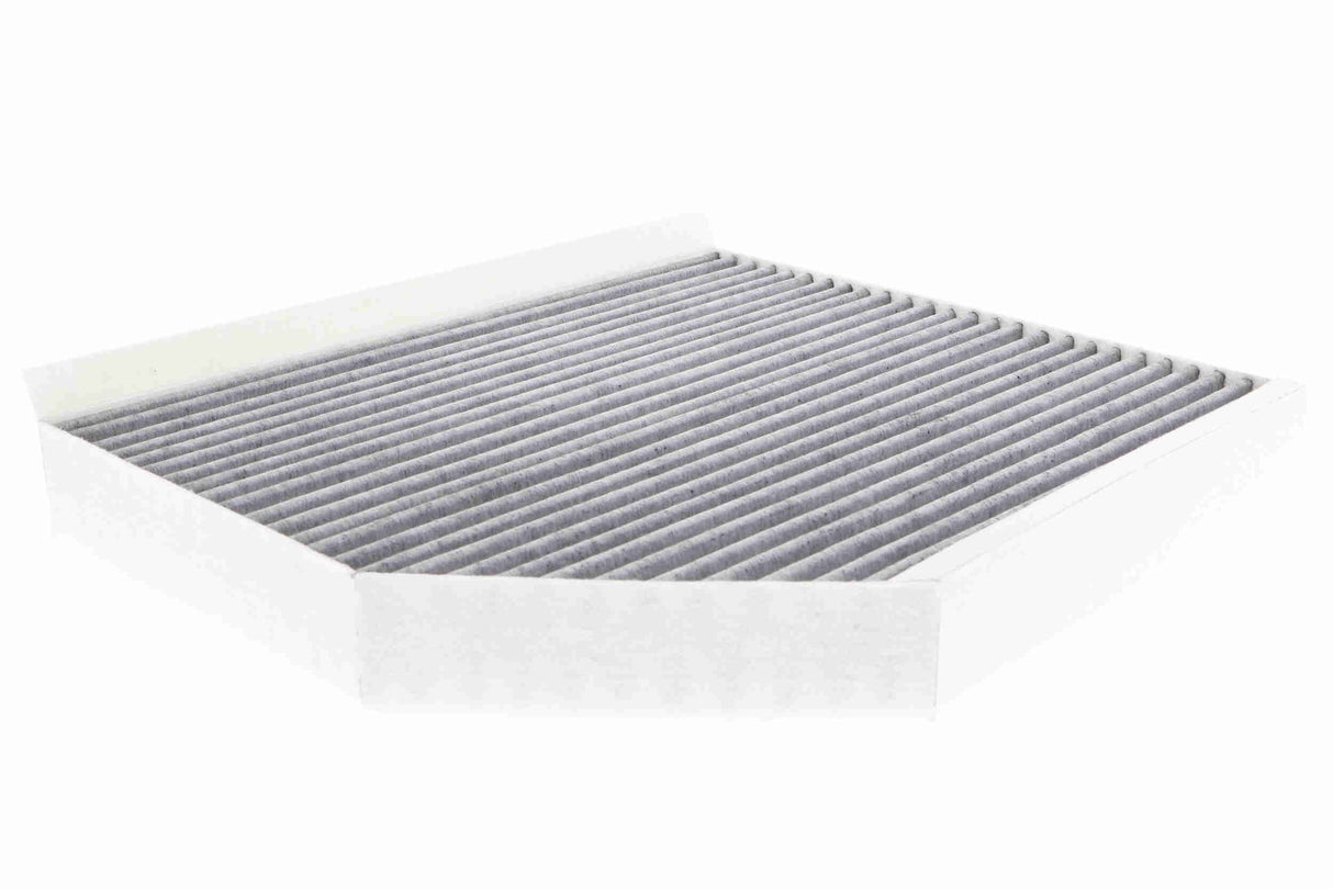 Filter, cabin air - V10-31-1004