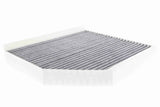 Filter, cabin air - V10-31-1004