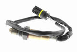 Oxygen Sensor - V30-76-0033