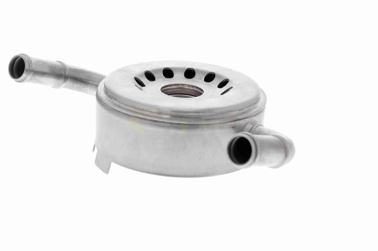 Oil Cooler, engine oil - V38-60-0010