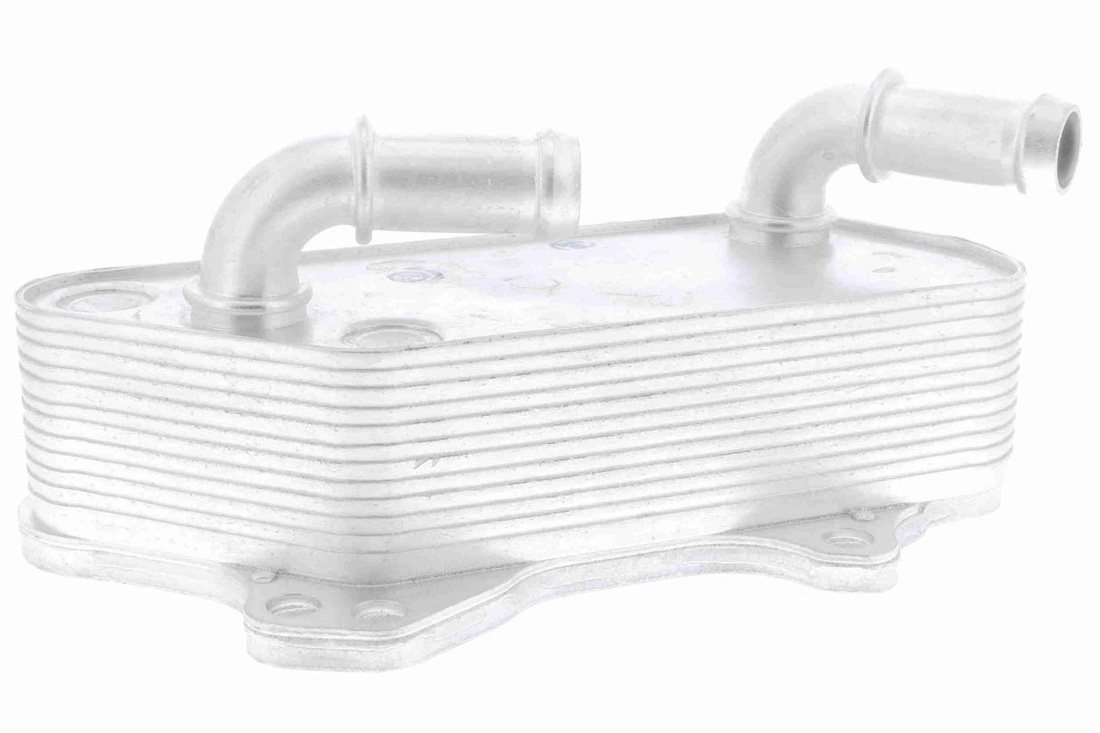 Oil Cooler, engine oil - V40-60-2118