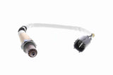 Oxygen Sensor - V70-76-0012