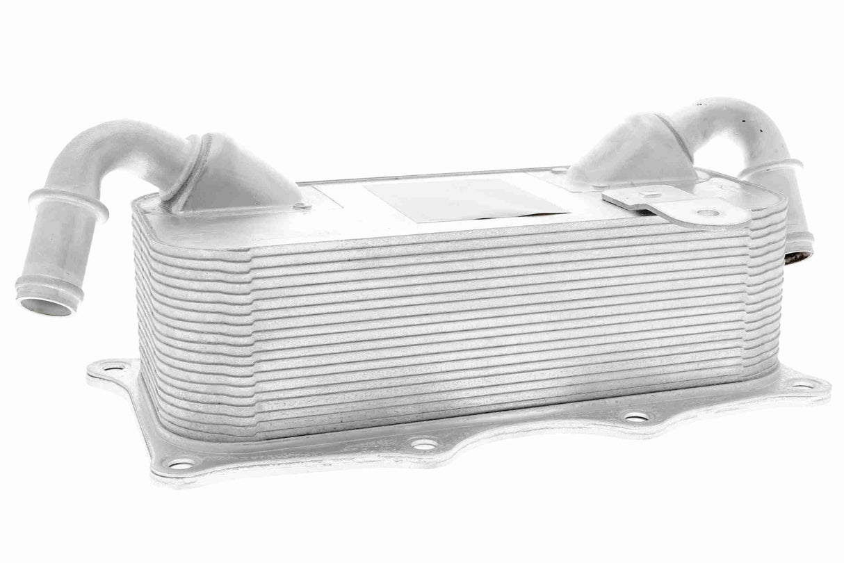 Oil Cooler, engine oil - V45-60-0009