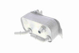 Oil Cooler, engine oil - V20-60-0040