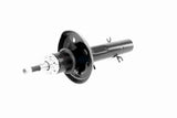 Shock Absorber - V10-4993
