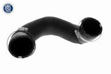Charge Air Hose - V46-0849