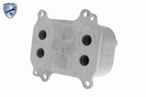 Oil Cooler, engine oil - V10-60-0066