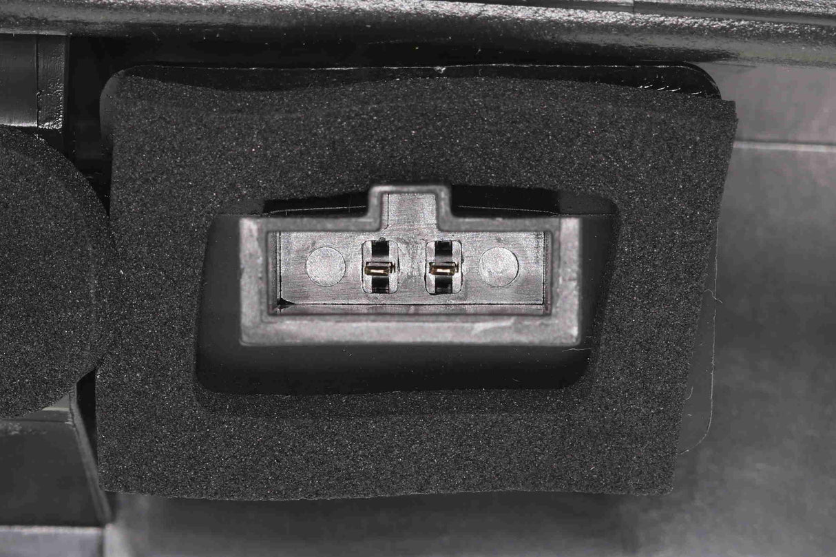 Licence Plate Light - V10-84-0055