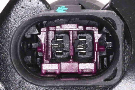 Air Suspension Strut - V10-50-0004