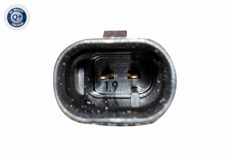 Injector - V30-11-0003