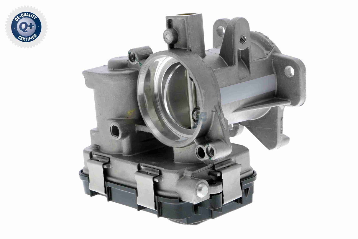 Throttle Body - V24-81-0017