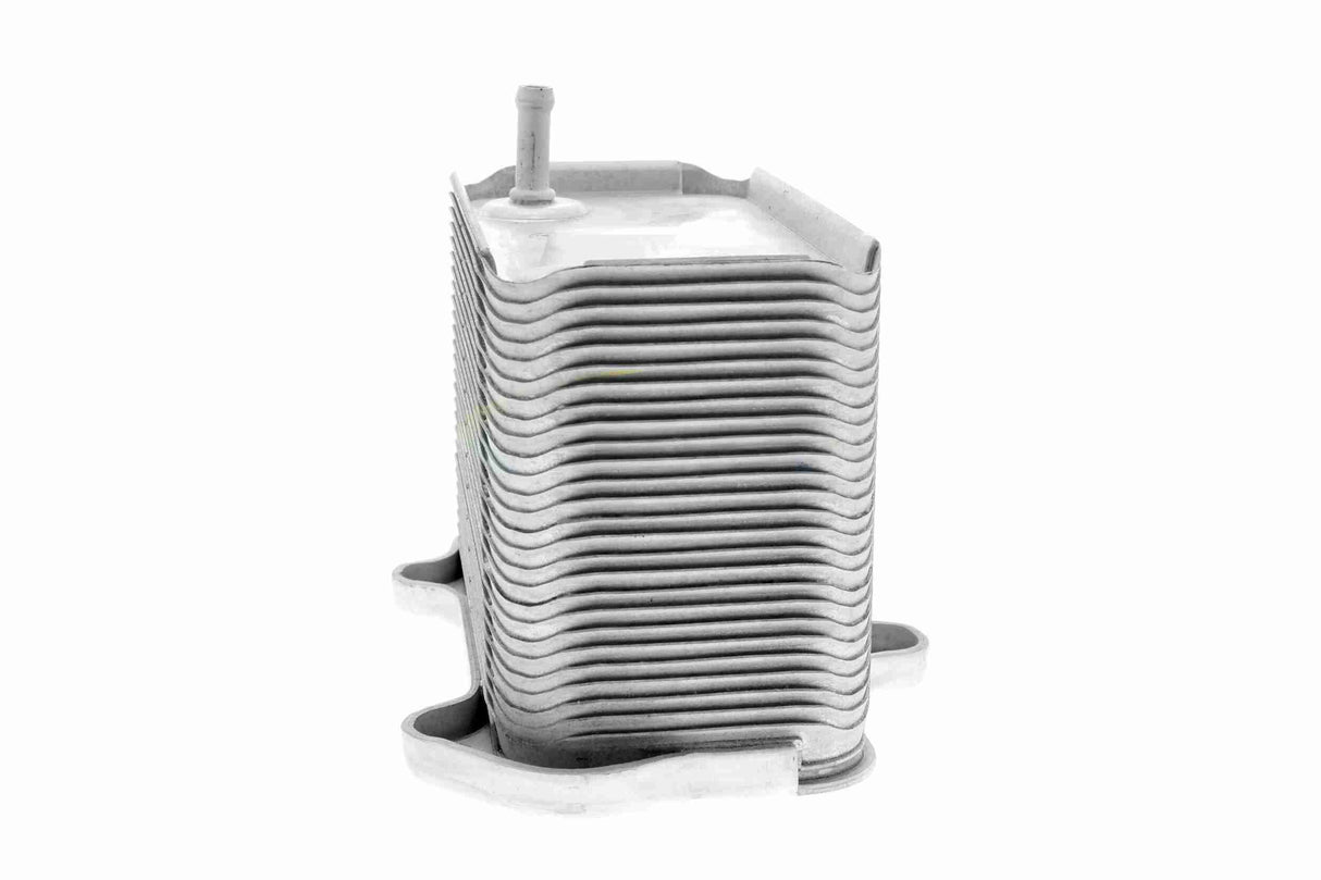 Oil Cooler, engine oil - V45-60-0002