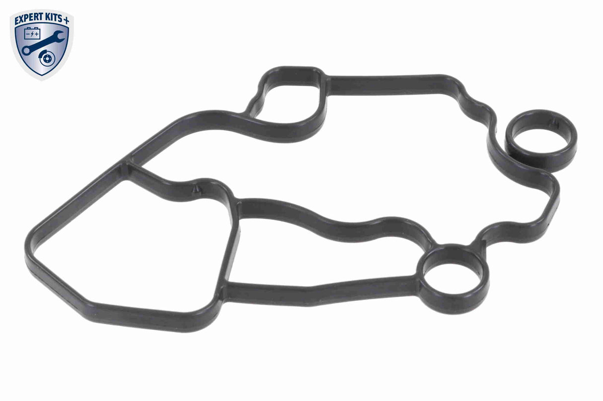 Oil filter module - V15-60-6080