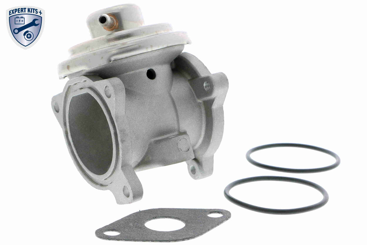 Valve, exhaust gas recirculation - V10-63-0031