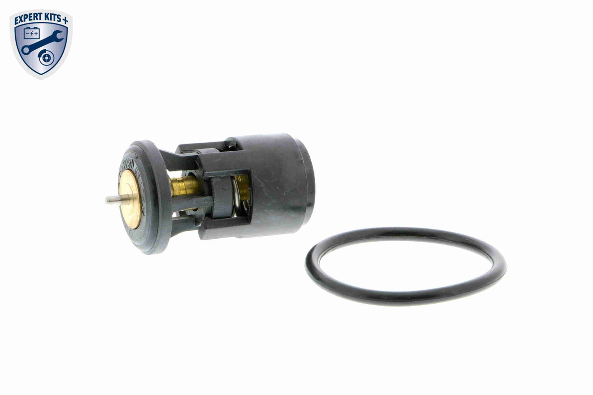Thermostat, coolant - V15-99-2019