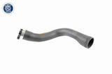 Charge Air Hose - V40-1364