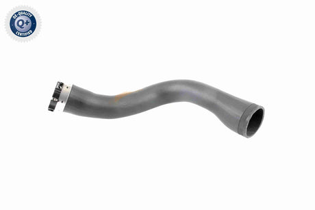 Charge Air Hose - V40-1364