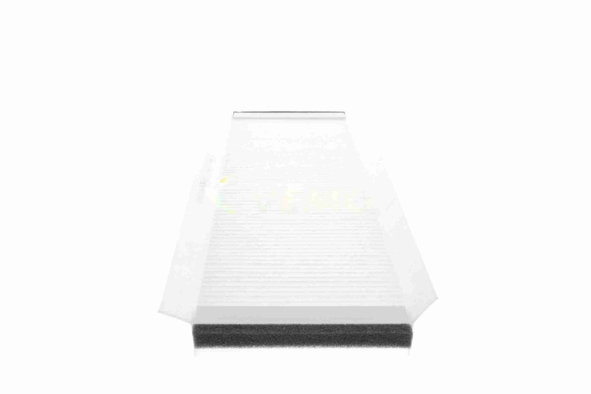 Filter, cabin air - V25-30-1001-1