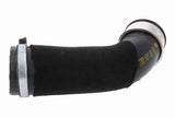 Charge Air Hose - V10-9659
