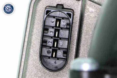 Throttle Body - V24-81-0001