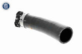 Charge Air Hose - V46-1198
