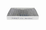 Filter, cabin air - V25-31-1001-1