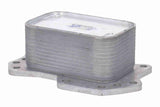Oil Cooler, engine oil - V30-60-0038