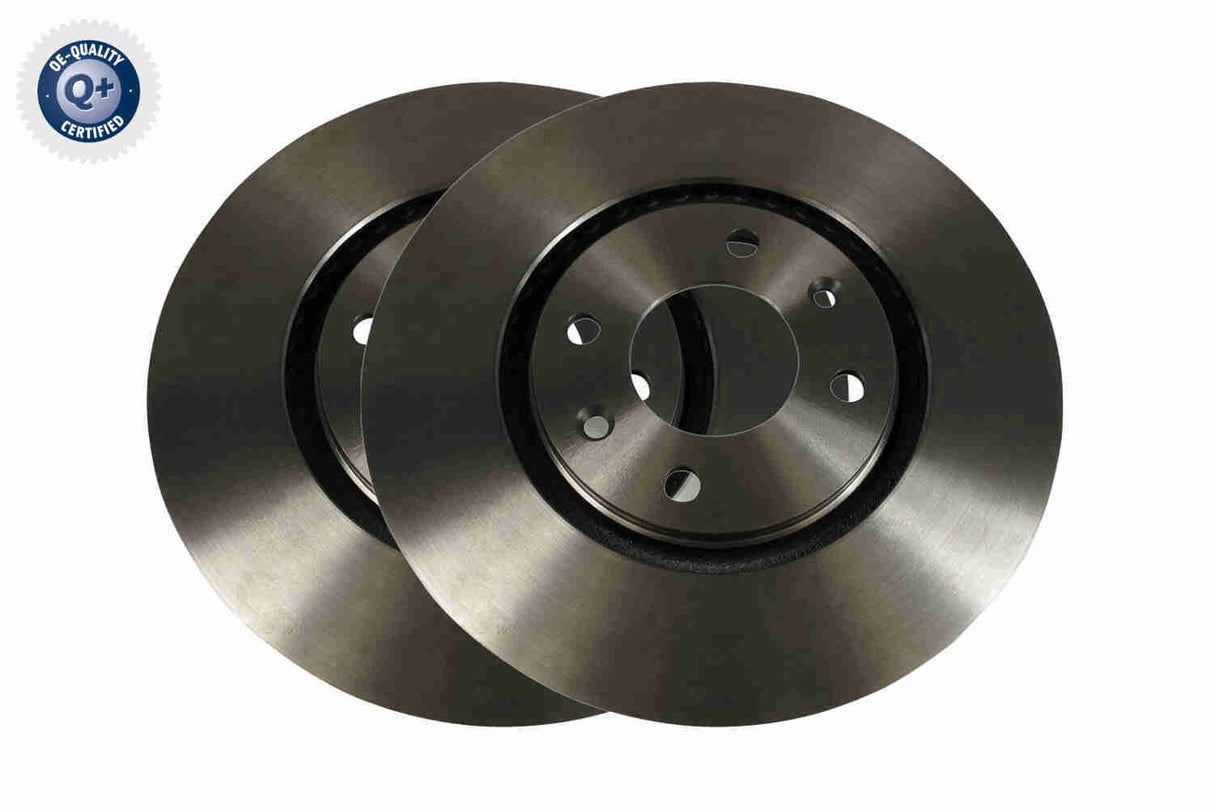 Brake Disc - V42-80012