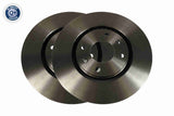 Brake Disc - V42-80012