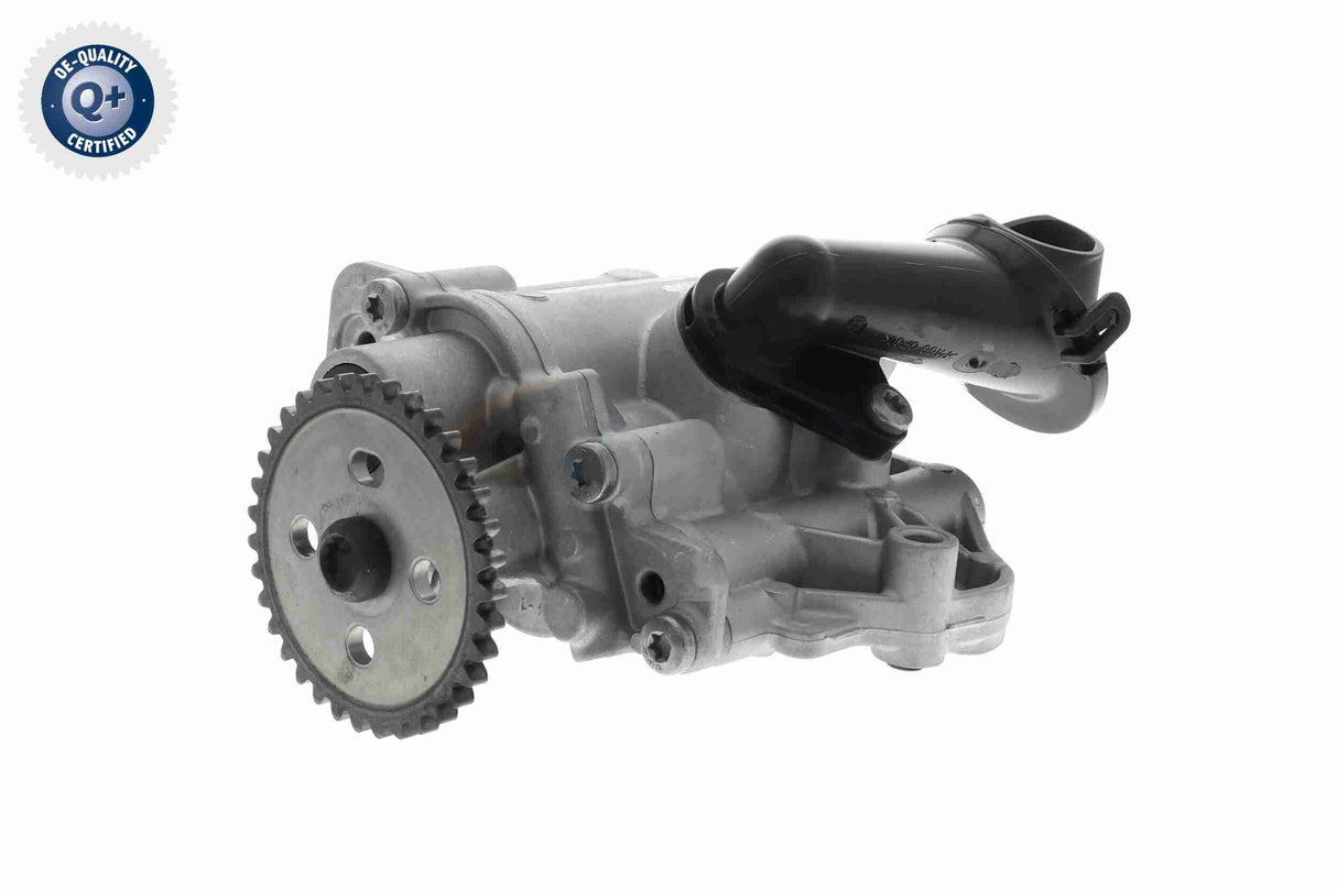 Oil Pump - V10-4265