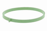 Gasket, throttle body - V10-81-0130
