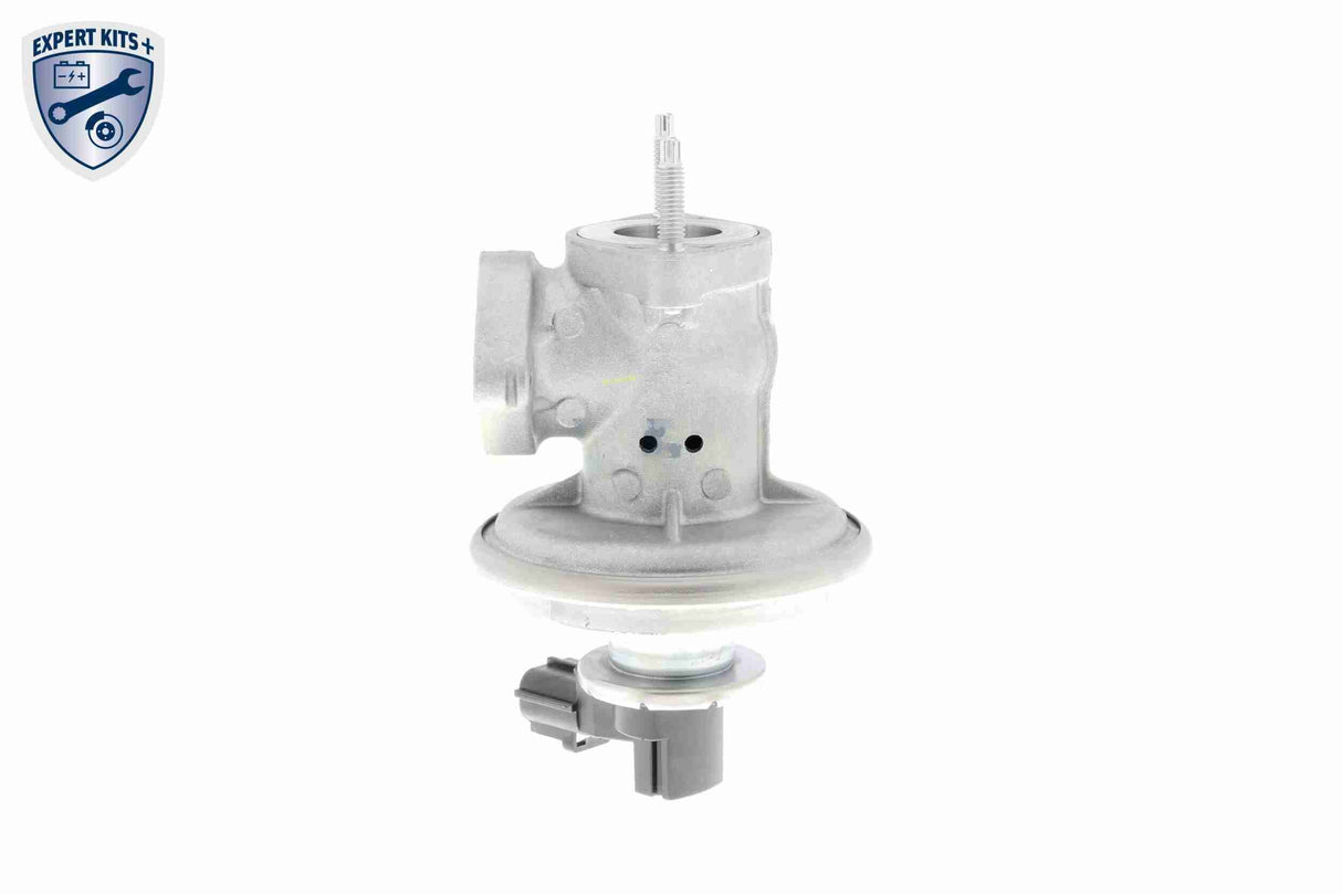 Valve, exhaust gas recirculation - V25-63-0021