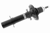 Shock Absorber - V10-4993
