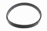 Gasket, throttle body - V20-81-0037