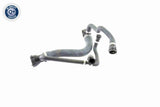 Radiator Hose - V20-0874
