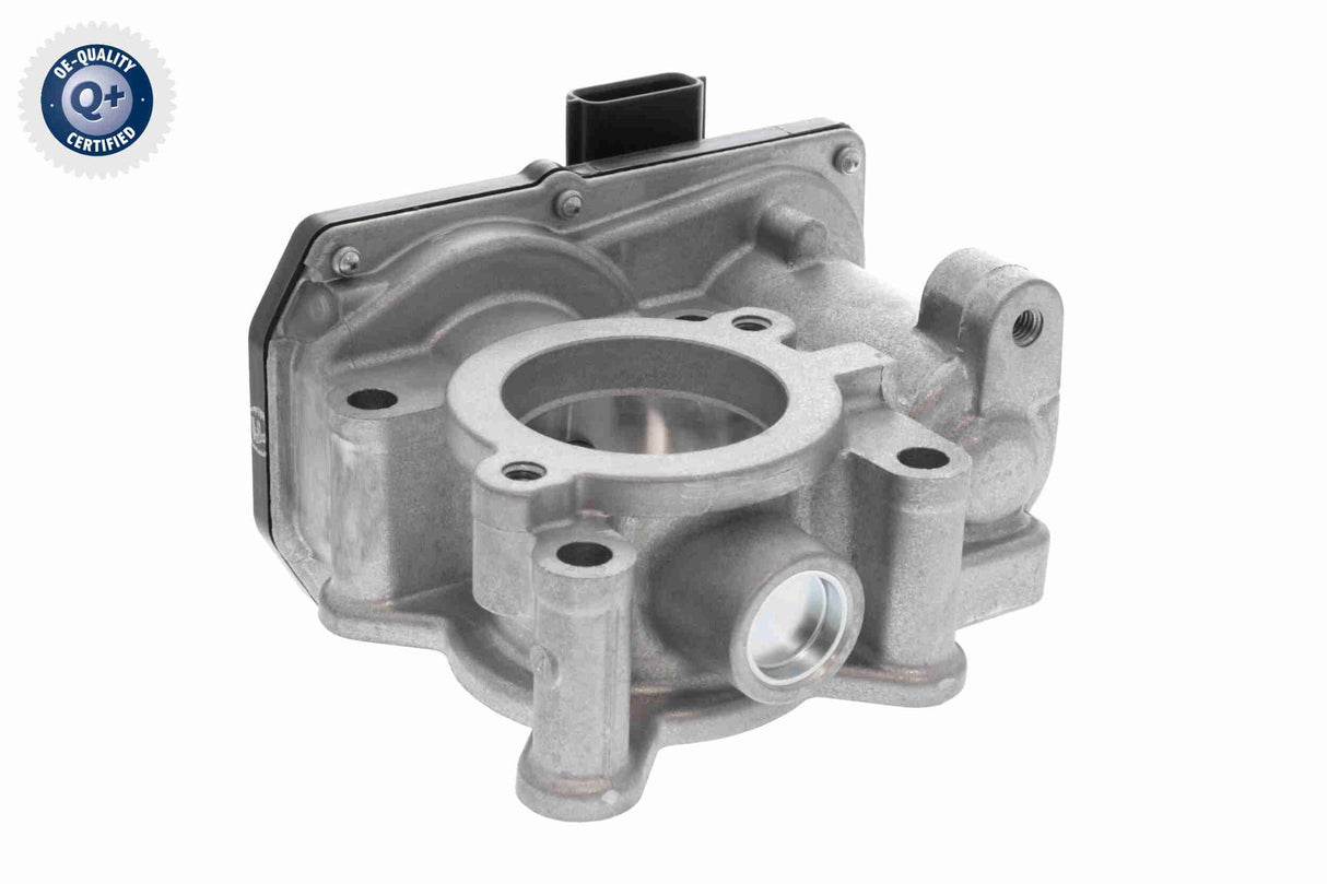Throttle Body - V46-81-0018
