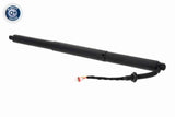Electric Motor, tailgate - V10-55-0033