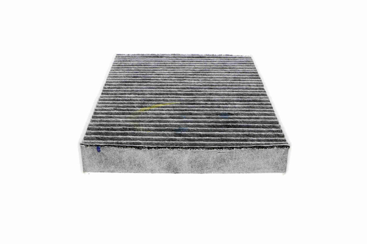 Filter, cabin air - V25-31-1001-1