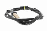 Oxygen Sensor - V30-76-0004